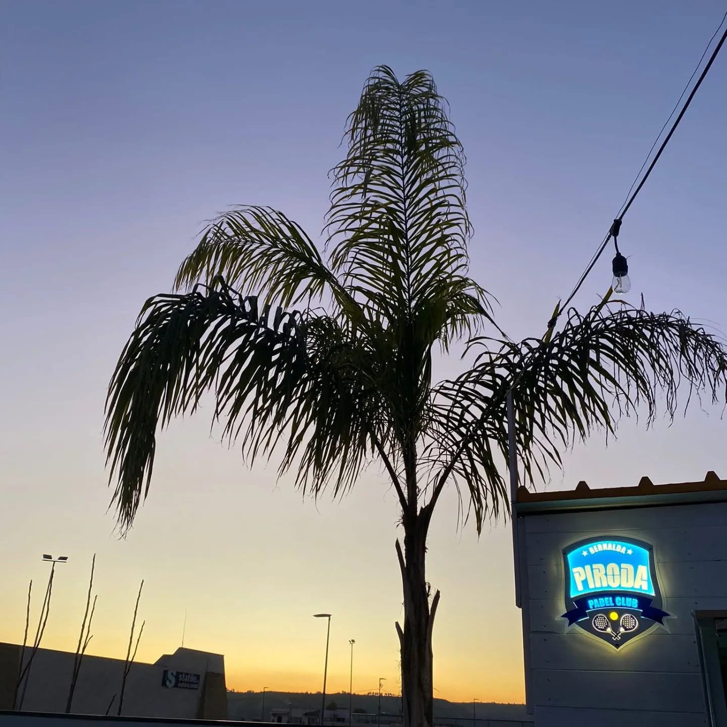 Insegna luminosa Piroda Padel Club al tramonto con palma